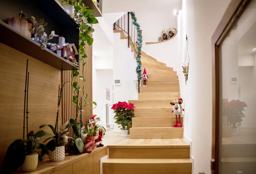 												Progetto per la ridistribuzione degli ambienti interni di un immobile sito a Castelbuono (PA) - Ingresso