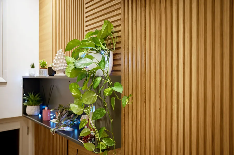 												Progetto per la ridistribuzione degli ambienti interni di un immobile sito a Castelbuono (PA) - Ingresso